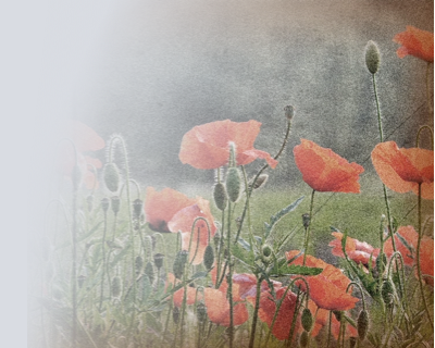first world war resources